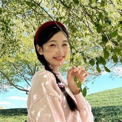 宝嘉先生